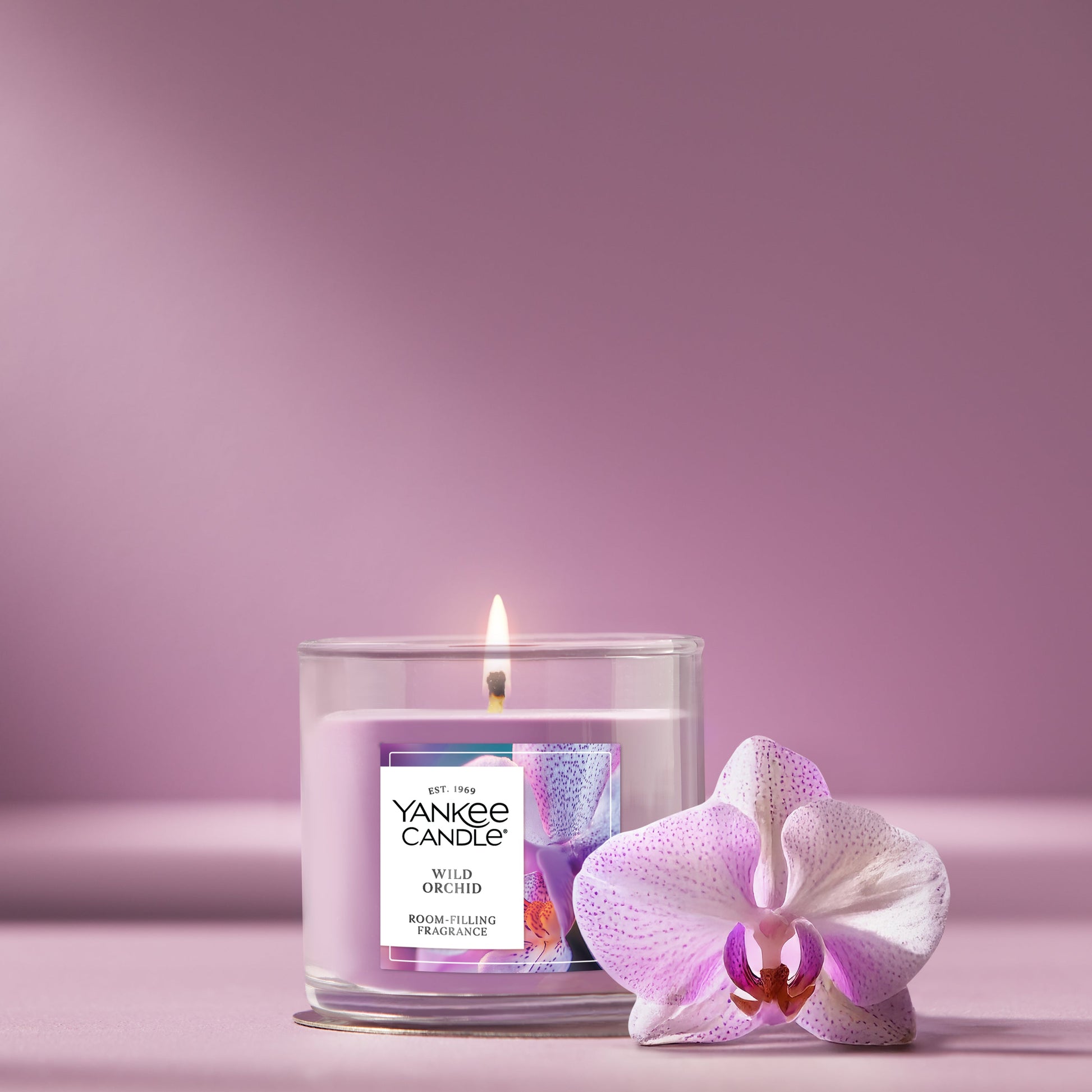 Wild Orchid